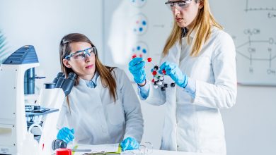 Photo of Unraveling the Genetic Components of Type 1 Diabetes