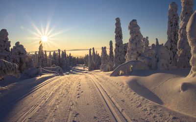 Finnland - Schnee - Sonne - Ski fahren