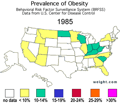 Obesity in the US Obesity in the US