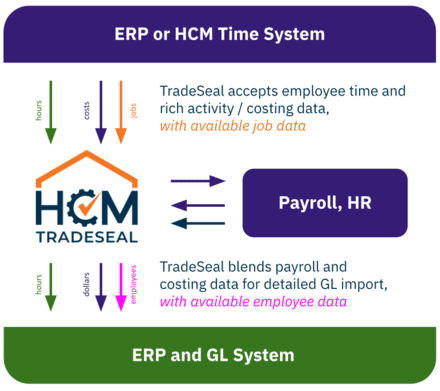 TradeSeal ERP Data Flow