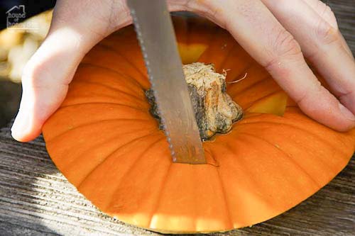 removing pumpkin stem