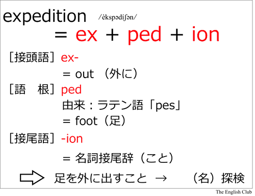 語根:expedition