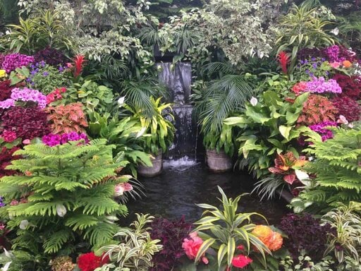 Water Garden