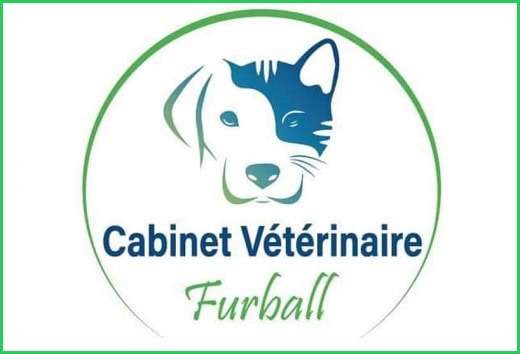 Cabinet vétérinaire Furball à Boumhel / dr Said Nada