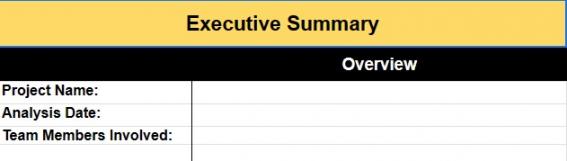executive summary
