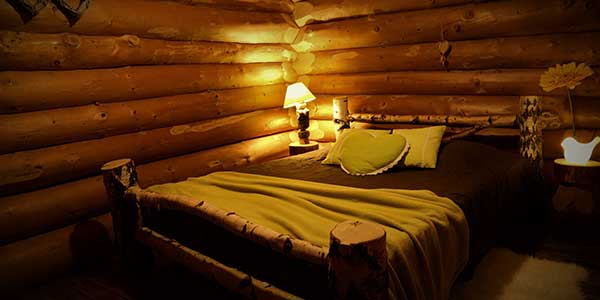 Cabane des oiseaux