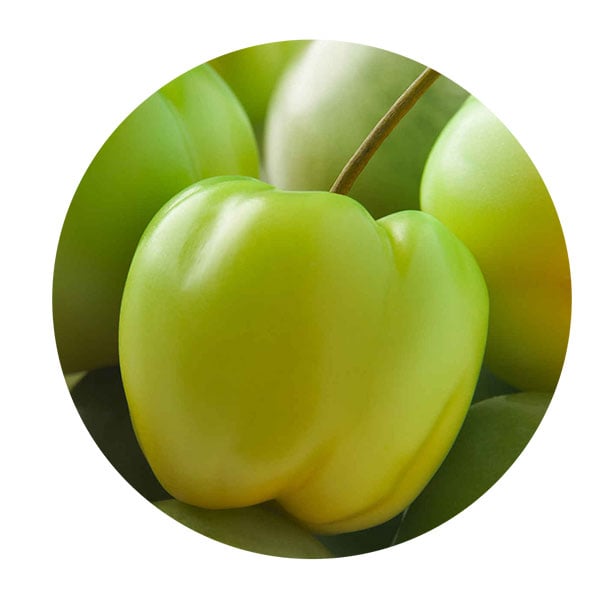 Cereza acerola
