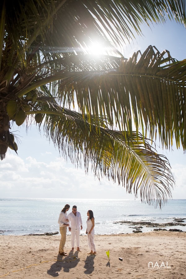 Laurent & Celine -  - Naal Wedding Photography 48