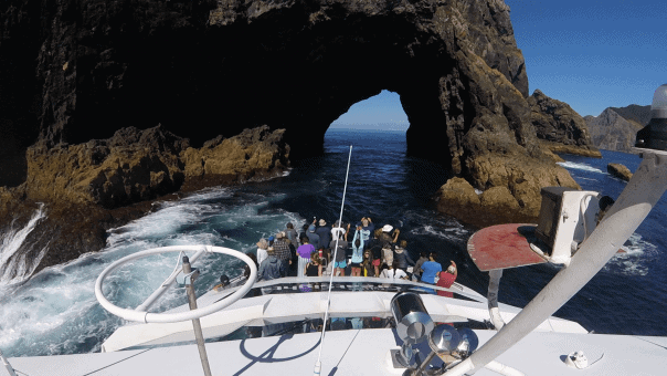 The Hole in the Rock Going NZ