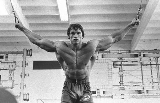 Arnold Schwarzenegger Arnold Schwarzenegger