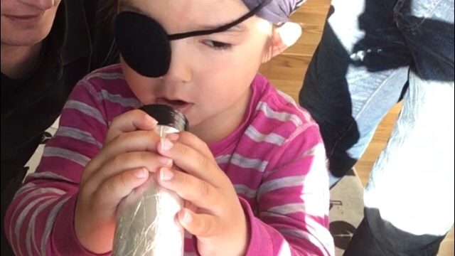 海賊はドラゴンを捕らえた！