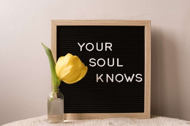 what is the soul your soul knows sign
