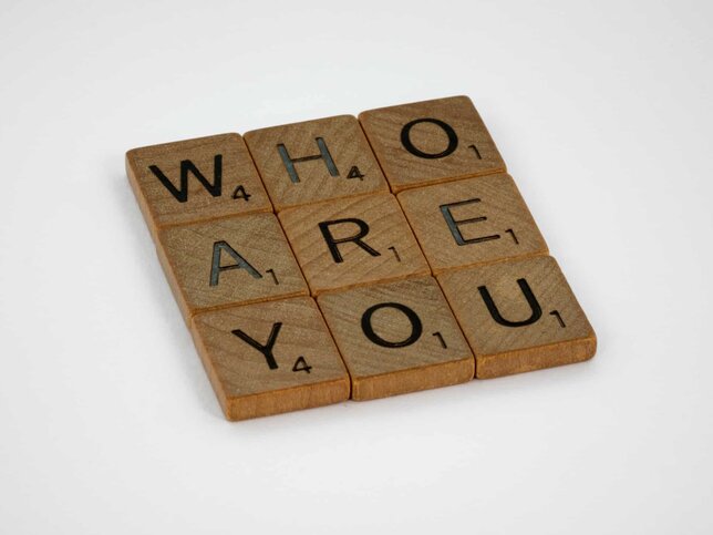who are you ego vs soul who are you ego vs soul