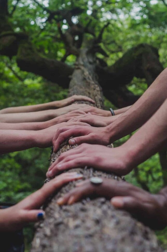 new moon ritual grounding connected people in nature