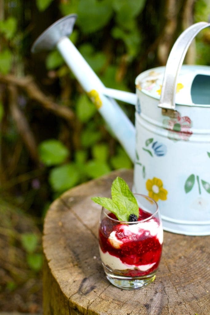 Himbeer Schichtdessert