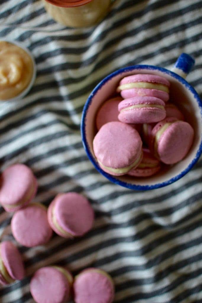 Rhabarber Macarons