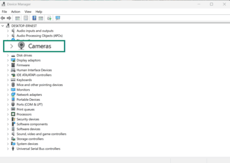 Image showing how to locate Cameras in Windows Device Manager.