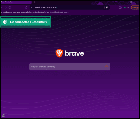 A private window with Tor open in Brave browser, showing the Tor connected successfully message.