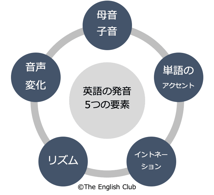 英語の発音 5つの要素