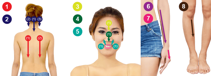 ตำแหน่งการขูดกัวซา บำบัดโรคภูมิแพ้