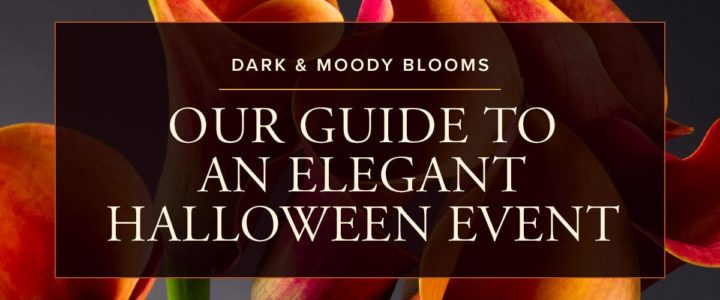 Top Tips for Pulling Off a Successful Gothic Wedding FM4-Elegant---Halloween-Weddings-&-Events---Blog