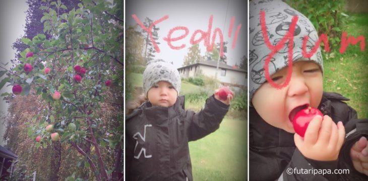 幼稚園に行って、変わったなってこと。