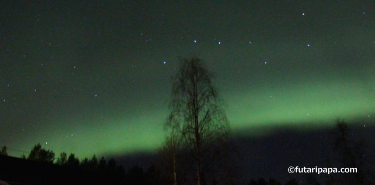 ふと、ベッドの中で眠りかける息子くんを見ながら、思ったこと。