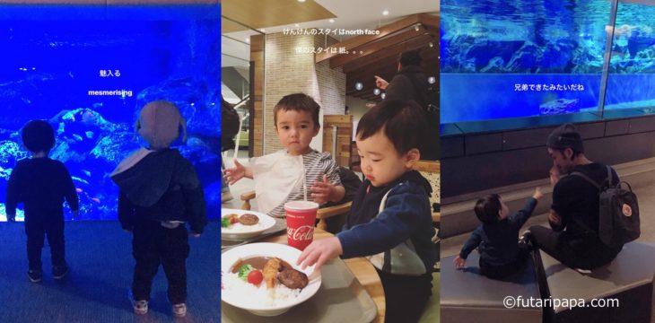 日本旅行記〜24日目〜 けんけんと水族館。