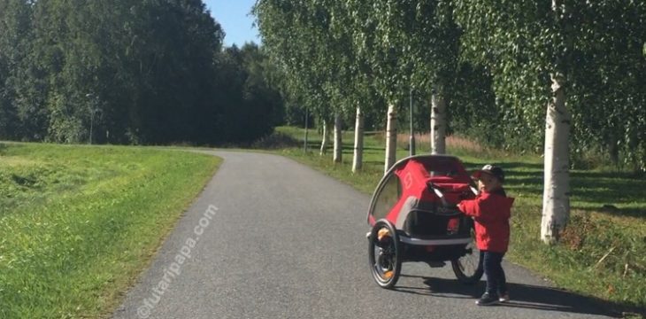 窓からヘラジカが見える幼稚園に通ってます。