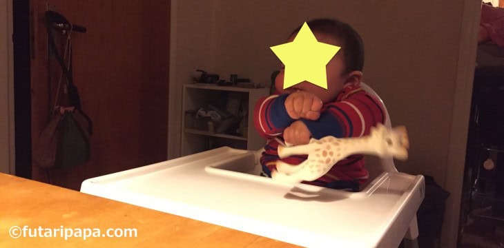 キリンのソフィーをギューン！ の遊びを覚えた日。