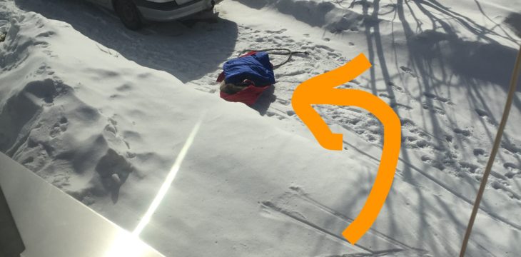 日本の子育てが過保護なのか、それともスウェーデンがブッとんでんのか？