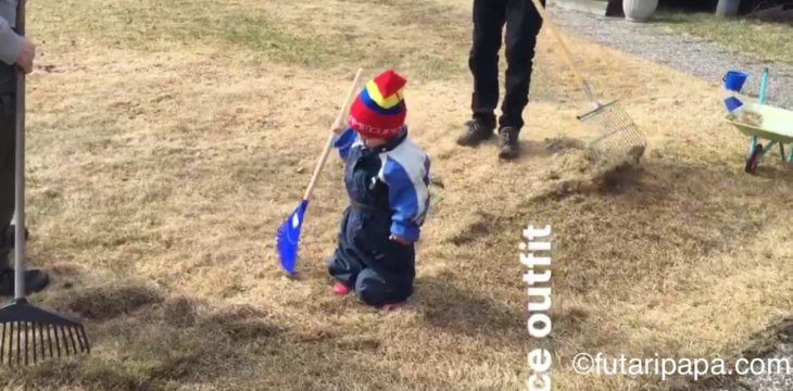 庭掃除にいそしみ、リスを追いかけた日。