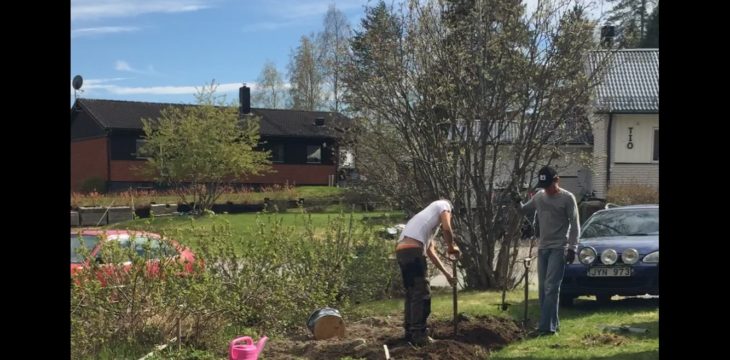 畑仕事して、サウナはいって、ごはん食べて幸せの日。