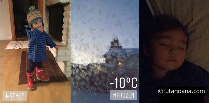 きみ、夜寝るときはまっくらがお好みらしい。