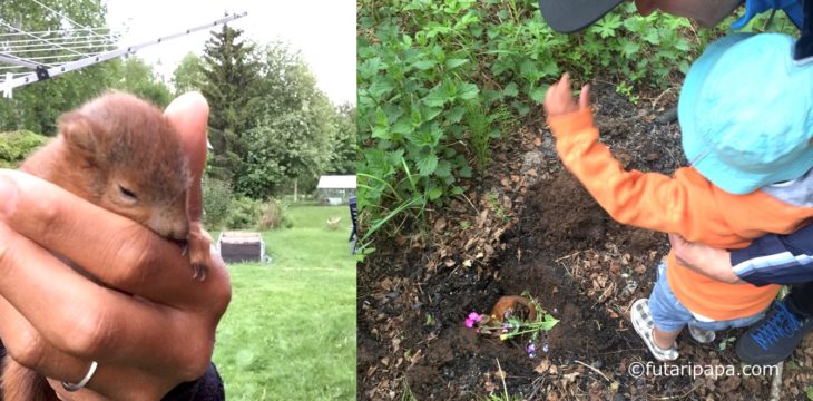 昨日のリスさんと、バイバイ・ヘイドー。