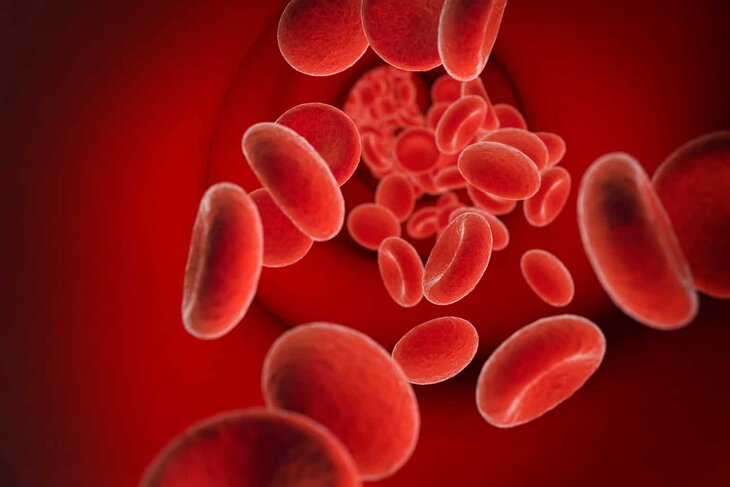 red cells in bloodstream