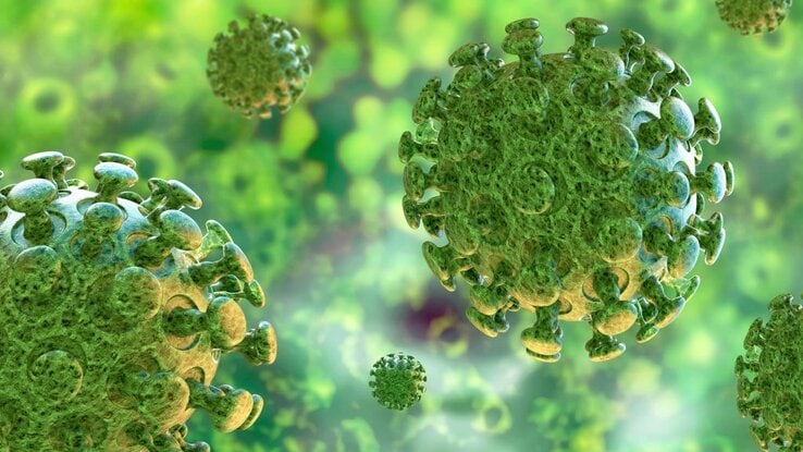 coronavirus