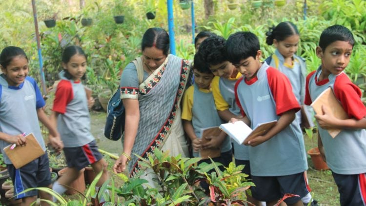 Understanding the tools to grow plants!