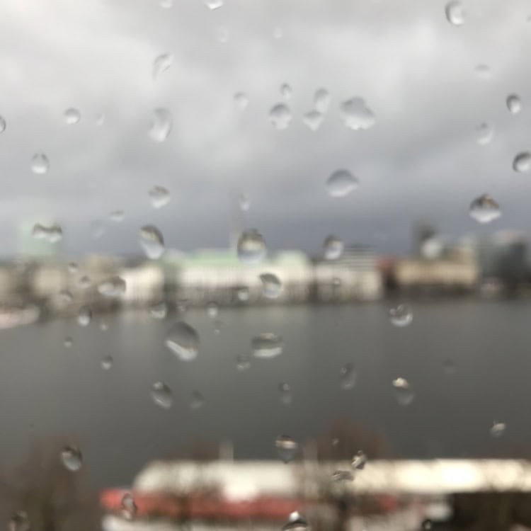 Alster Hamburg 29. Januar 2020