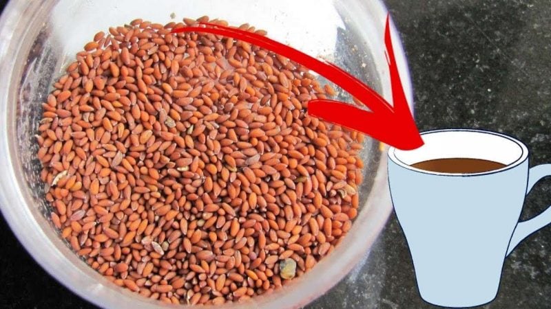 فوائد حب الرشاد