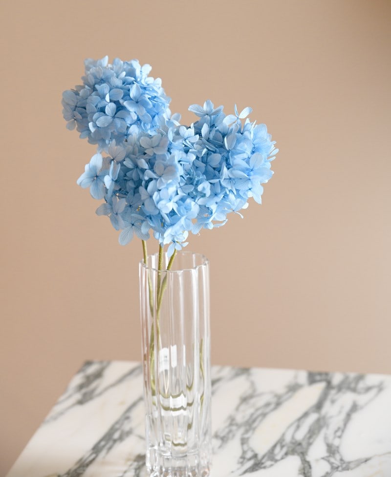 6月生まれのデコレーション 紫陽花を使ったお誕生日やホームパーティーのデコレーションアイデア おうち時間が充実するアイデア満載です