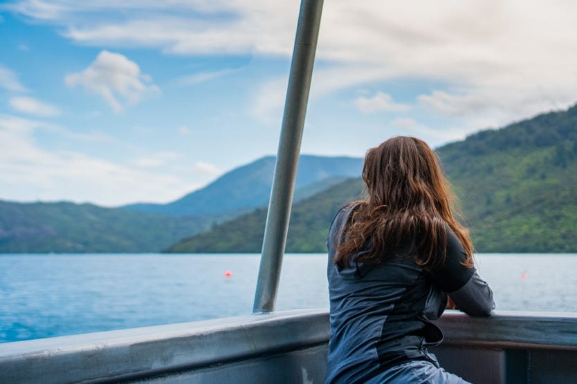 passenger on picton mail boat cruise looking out into queen charlotte sound from back of the boat