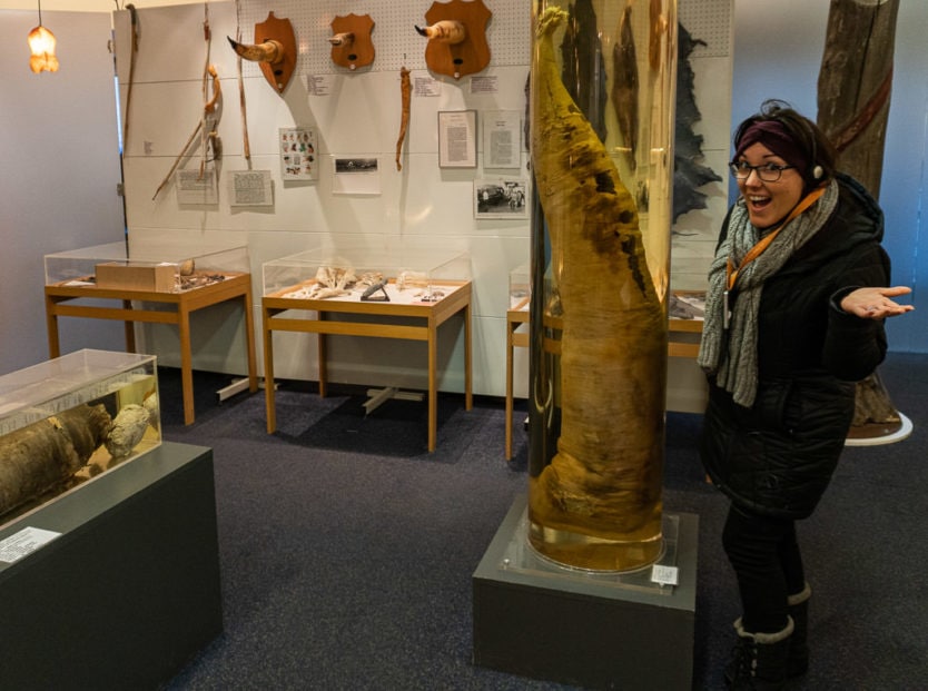Brooke next to a display at the icelandic phallological museum
