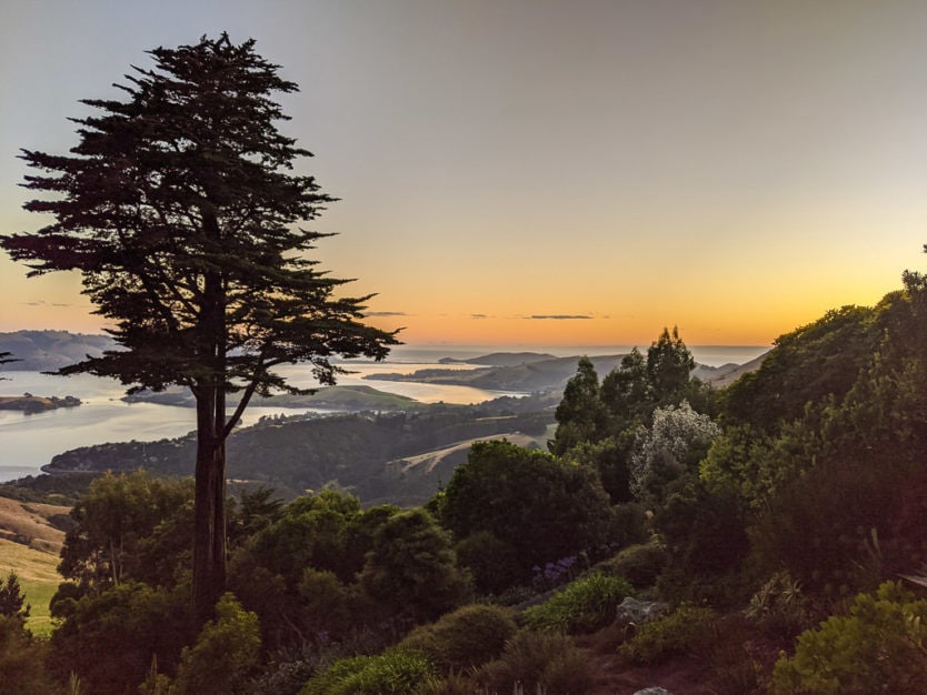 dunedin new zeland otago peninsula sunrise