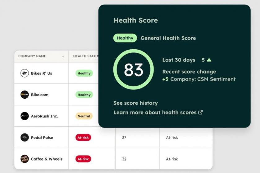 HubSpot Health Score