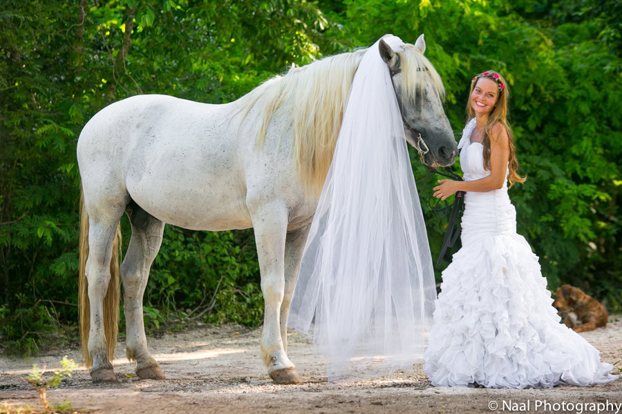 EQUESTRIAN BRIDAL PHOTO SESSION -  - NAAL PHOTOGRAPHY 25