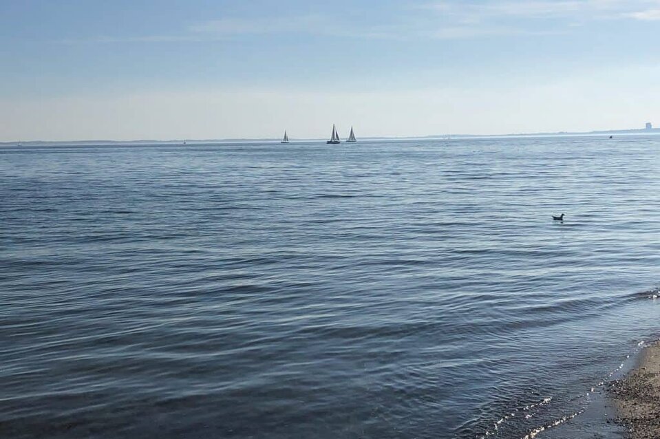 Ferienwohnung am Meer kaufen