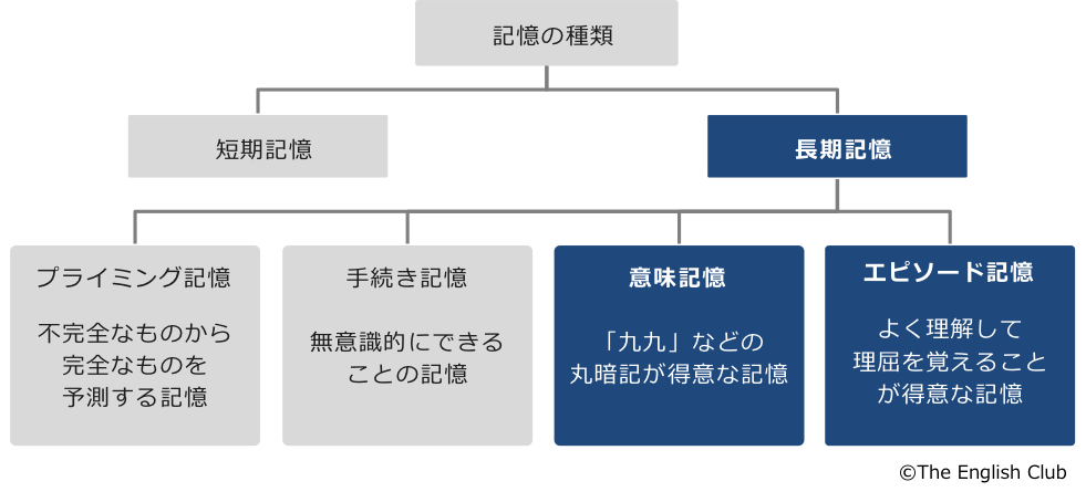 記憶の種類