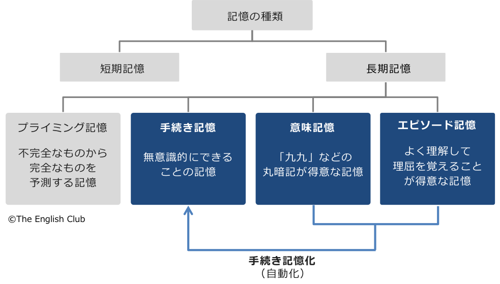 記憶の種類