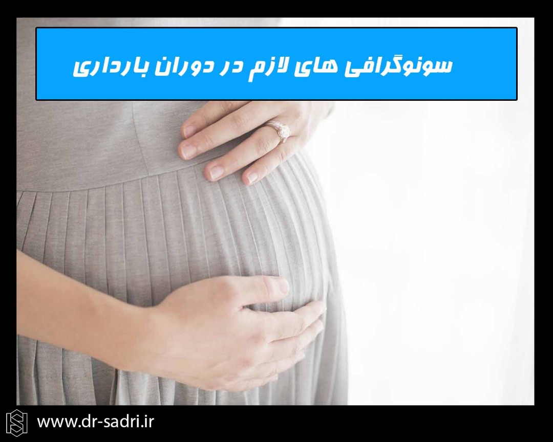 WhatsApp-Image-2019-11-10-at-12.32.25.jpeg